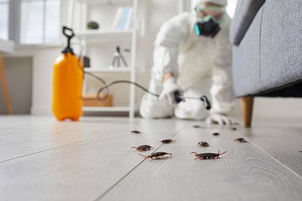 Commercial Kitchen Cockroach Control in Lake Andes